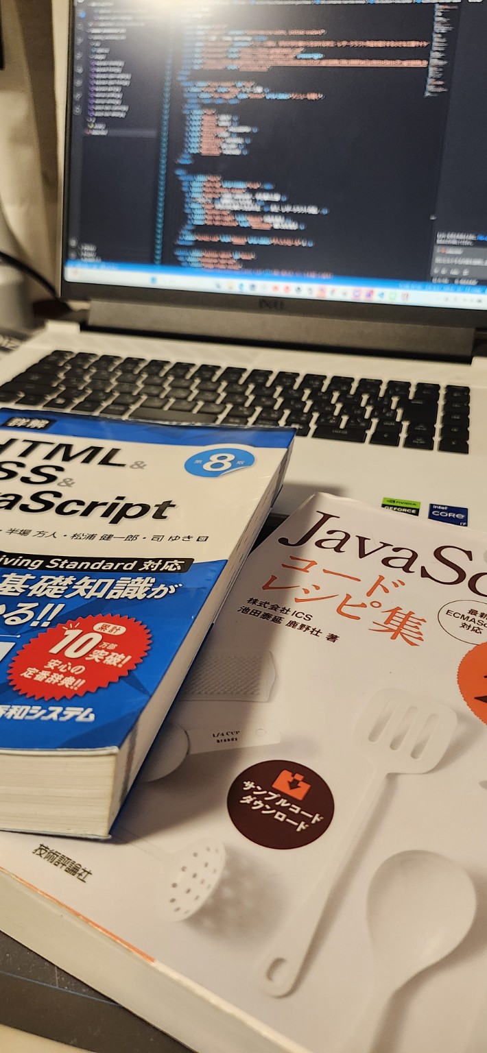 JavaScript参考書